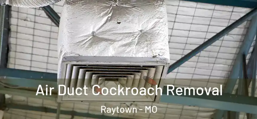 Air Duct Cockroach Removal Raytown - MO