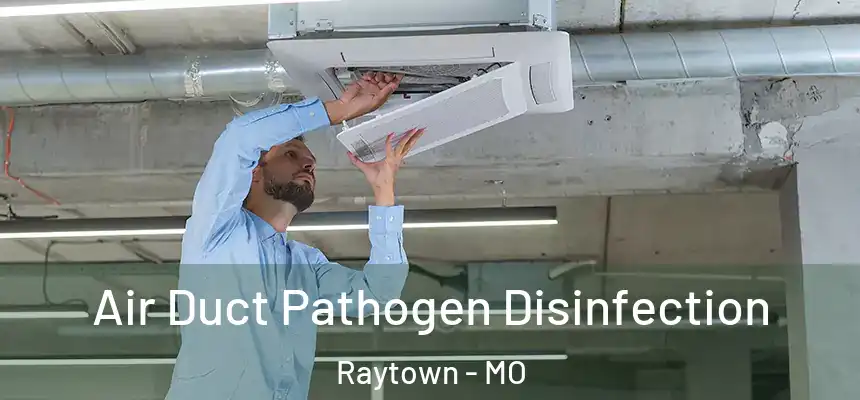  Air Duct Pathogen Disinfection Raytown - MO