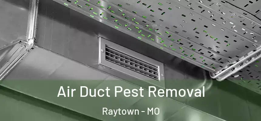 Air Duct Pest Removal Raytown - MO