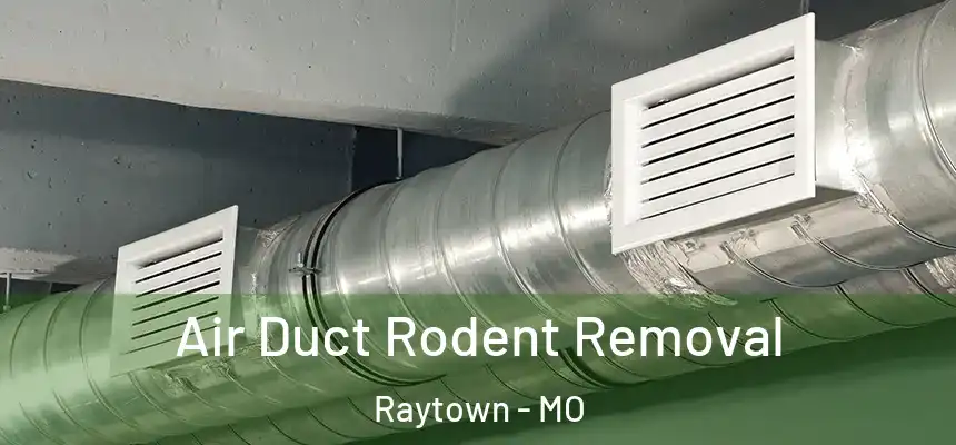 Air Duct Rodent Removal Raytown - MO