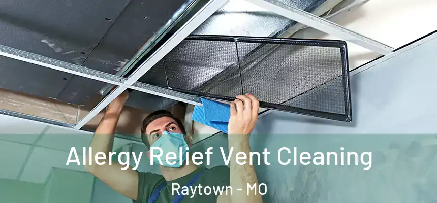 Allergy Relief Vent Cleaning Raytown - MO