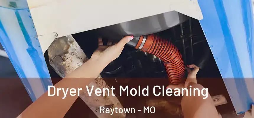 Dryer Vent Mold Cleaning Raytown - MO