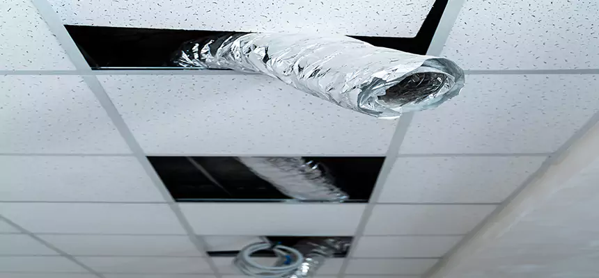 Our Air Duct Pet Hair Removal Services in Raytown, MO