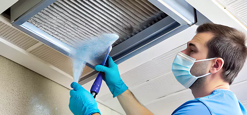 Proactive Dryer Vent & Auxiliary Duct Pollen Cleanup in Raytown, MO