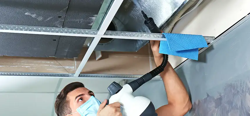 Our Air Duct Rodent Removal Services in Raytown, MO