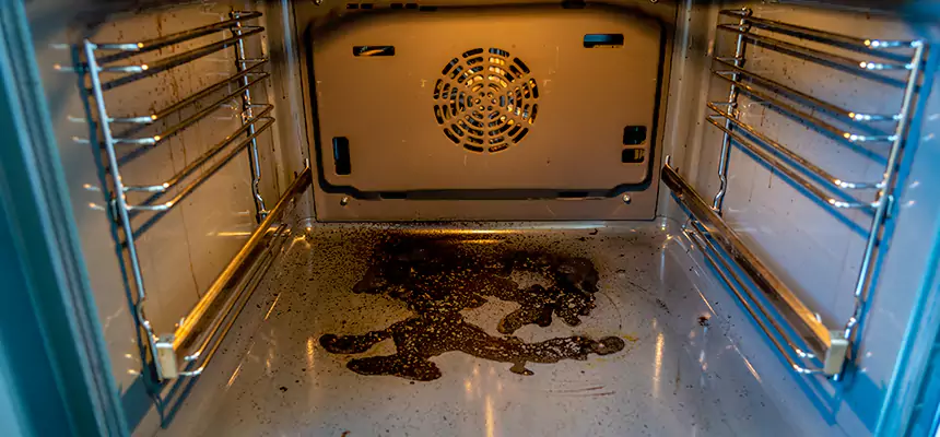 Our Dryer Vent Mold Cleaning Services in Raytown, MO