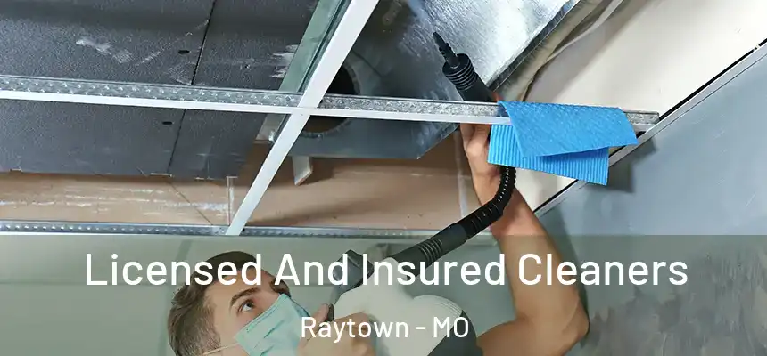 Licensed And Insured Cleaners Raytown - MO