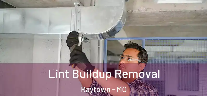 Lint Buildup Removal Raytown - MO