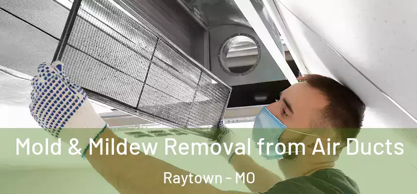 Mold & Mildew Removal from Air Ducts Raytown - MO