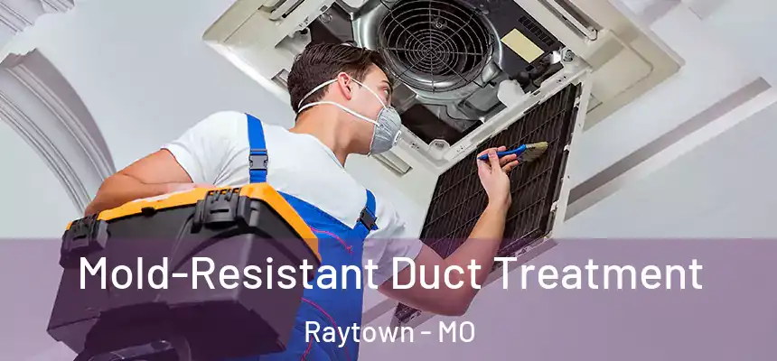  Mold-Resistant Duct Treatment Raytown - MO