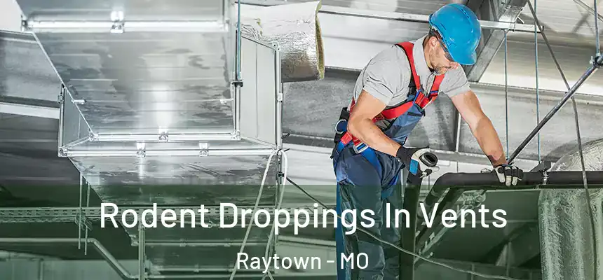 Rodent Droppings In Vents Raytown - MO