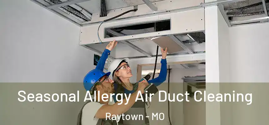  Seasonal Allergy Air Duct Cleaning Raytown - MO