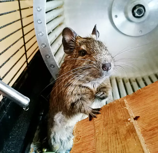 Why Homeowners & Businesses Trust Us Raytown, MO?